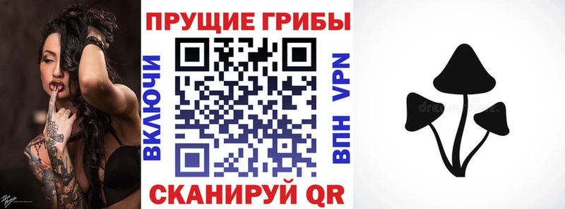 Псилоцибиновые грибы Psilocybine cubensis  Карпинск 