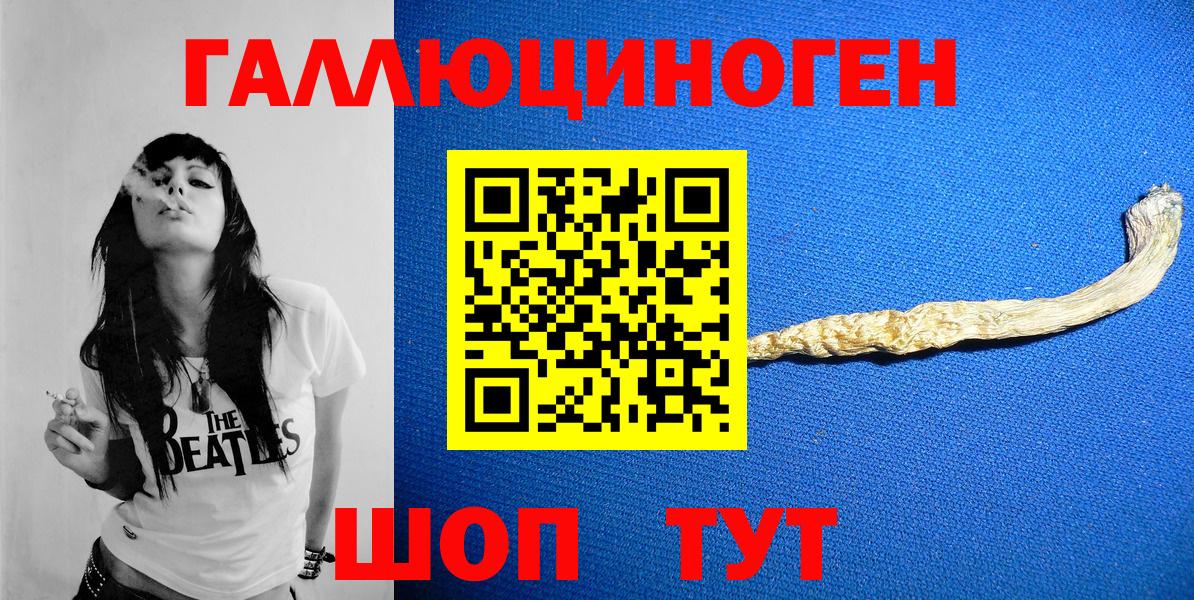 Псилоцибиновые грибы Psilocybine cubensis Карпинск